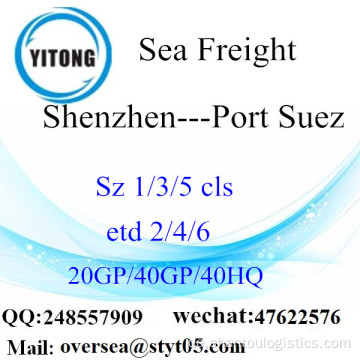 Shenzhen Port Seefracht Versand nach Port Suez
